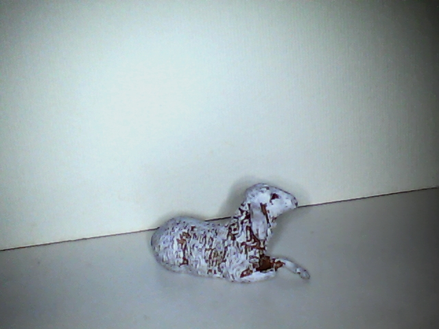 Animali