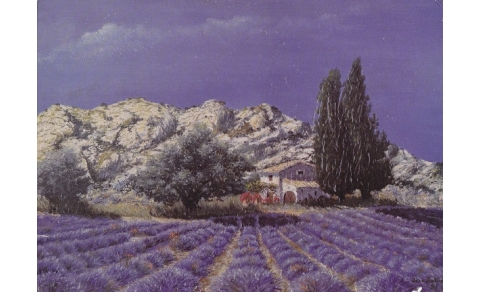 Campo di lavanda - cm 16x11,5 - effetto pennellata