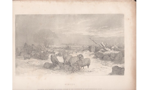 Winter (1800) Qualità come da foto