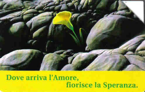 1038-Anni d'amore