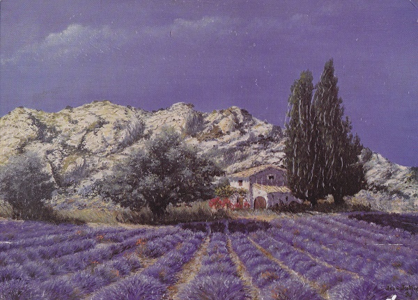 Campo di lavanda - cm 16x11,5 - effetto pennellata