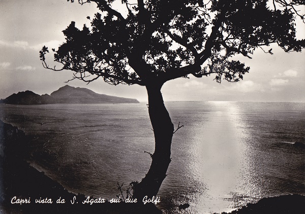 Capri (ca24-42) Vista da S. Agata - Viaggiata 1961