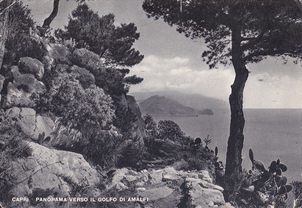 Capri (ca24-49) Panorama - Viaggiata 1951