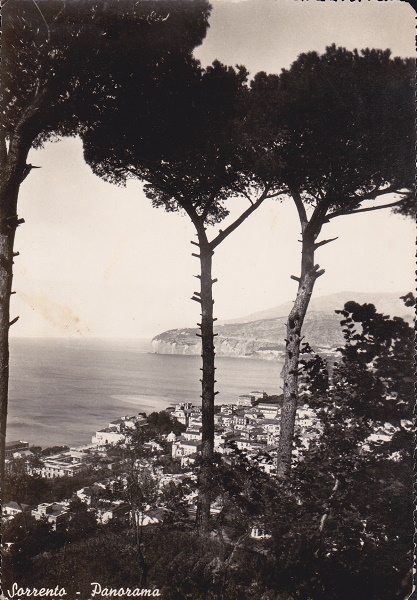 Sorrento (so22-0011) Panorama - Viaggiata 1950