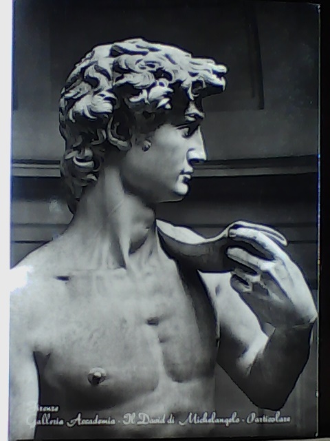 Firenze - Il David di Michelangelo