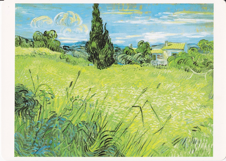 Van Gogh Vincent - Campo verde di grano