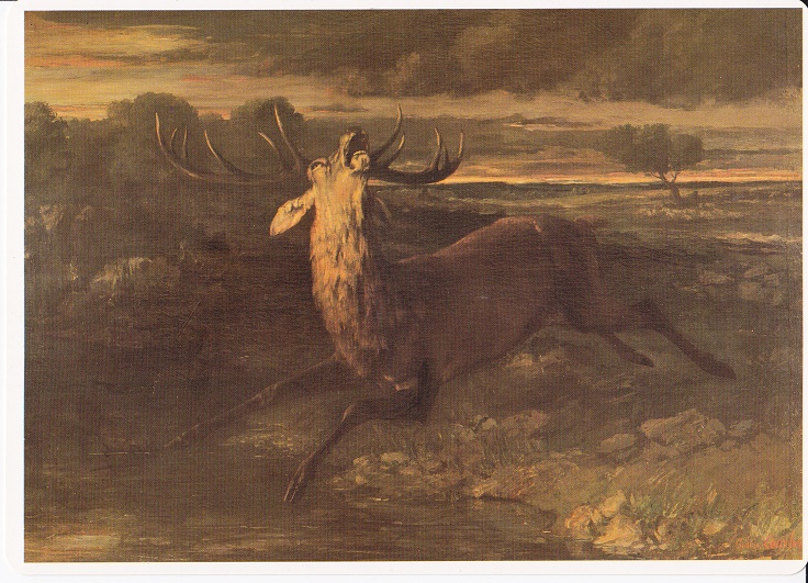 Courbet Gustave - Il cervo alla fonte