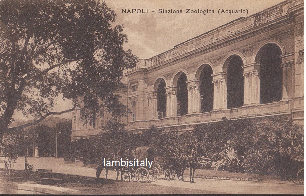 Napoli - Stazione Zoologica - NON Viaggiata (ax-0082) - fp