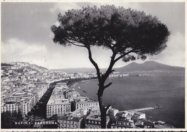 Napoli - Panorama - NON Viaggiata  (ax-0153)-fg