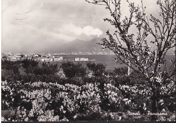 Napoli - Panorama - Viaggiata 1968  (ax-0158)-fg