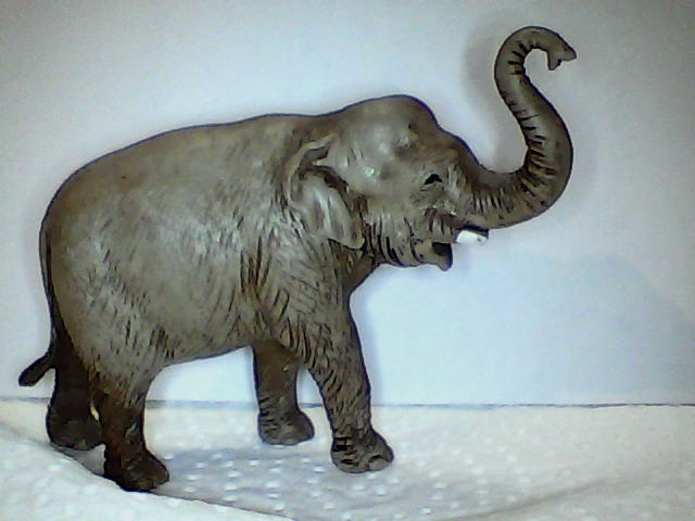 Elefante con proboscide alzata