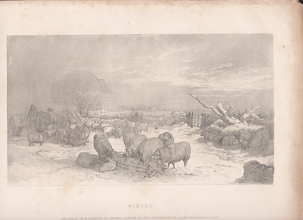 Winter (1800) Qualità come da foto