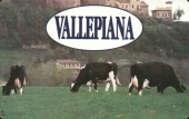 619N-Vallepiana